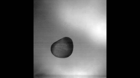 The bounce-splash of a viscoelastic drop