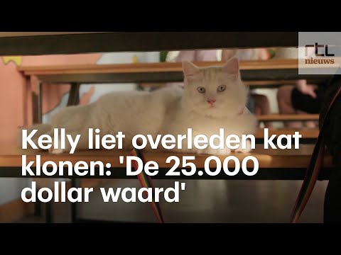 Overleden kat missen? Met DNA-materiaal kan je de kat klonen