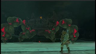 Battling The Marbled Gohma In The Depths Legend Of Zelda Tears Of The Kingdom