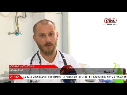 შინაური ცხოველების უფასო ლაბორატორიული გამოკვლევა