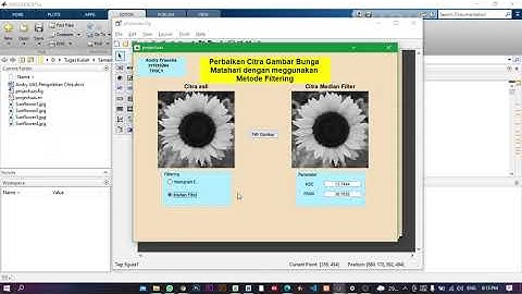 PERBAIKAN CITRA GAMBAR BUNGA MATAHARI METODE MEDIAN FILTER - GUI MATLAB