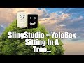 Slingstudio  yolobox sitting in a tree