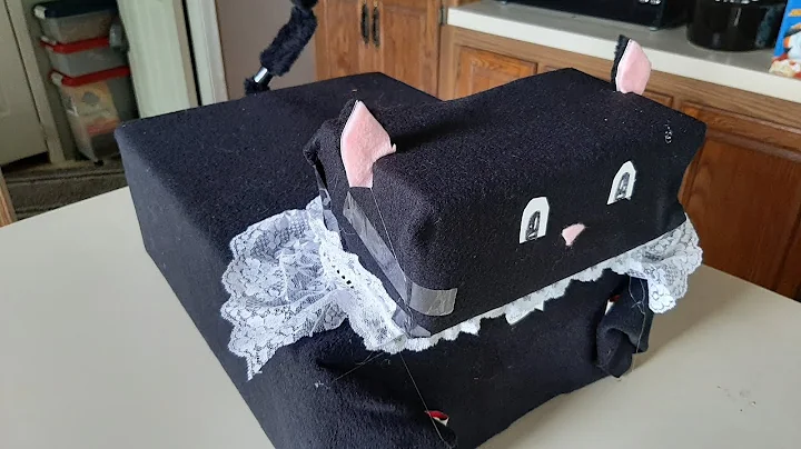 Making A Cat Themed Present Box | Pet Crafts