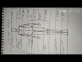 Easiest way to draw 10 heads croquis, 10 heads croquis with measurement,