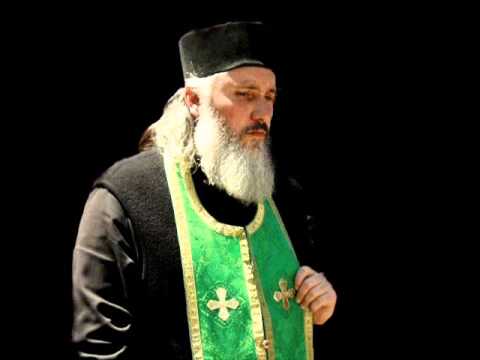 პატრიარქის ვიზიტის შესახებ - Mama Daviti (Isakadze)