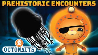 ​@Octonauts   Prehistoric Encounters  | Compilation | Underwater Sea Education