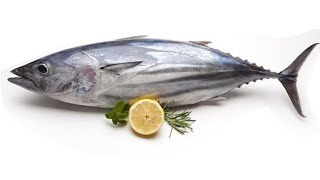 Clean and cut stubborn tuna? تنظيف و تقطيع سمك التونة العنيدة