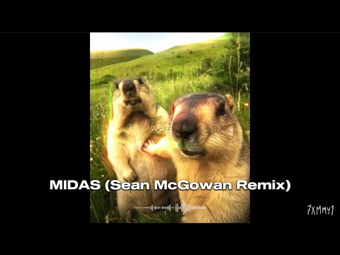 MIDAS (Sean McGowan Remix) - House 