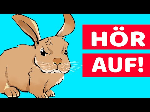 Video: Hinterhofhasen h alten – Wie man Kaninchen in seinem Garten aufzieht