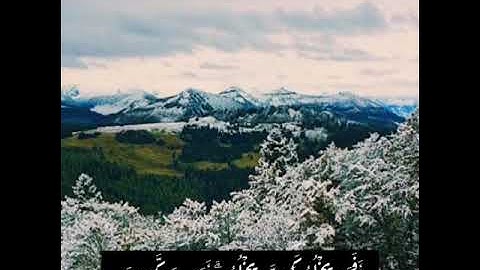 تلاوة خاشعة للشيخ خالد الجليل  | ارح سمعك