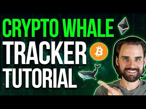 Code a Crypto Whale Tracker Step-by-Step with Ethers.js