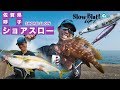 ショアスロー×キジハタ2 沼田純一のショアスロー