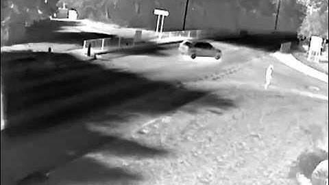 Axis thermal camera white hot