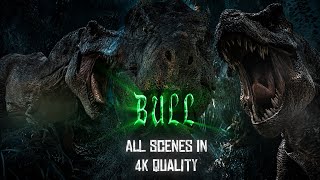 4K Bull Scene Pack | AI Upscaled / 60fps