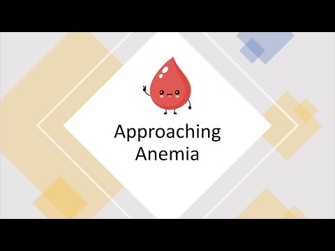 Webinar: Approaching Anemia | Diagnosis, Causes & Treatment