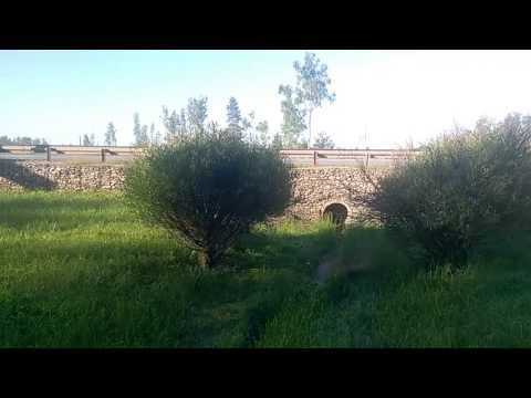 Исток Москва-реки -