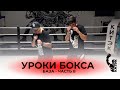 БАЗА | Уроки бокса - Изучаем передвижения | Обьясняет Светлана Андреева!