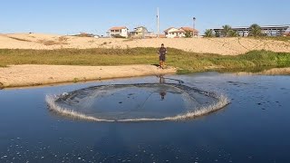 Cardume de peixe de mar na lagoa 