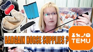 Equestrian Finds on TEMU! Are They Worth It? by The Budget Equestrian 941 views 1 month ago 22 minutes