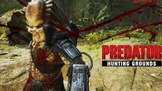 🔴Stream! Patch 2.50 Predator Hunting Grounds | Let's kill predators 6.05.2024 EPIC Graphics set