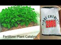 Best CATALYST PLANT 2006 Fertilizer For Any Plant