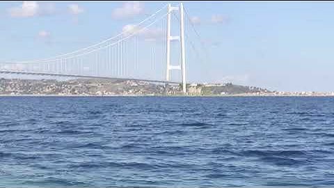 Ponte sullo Stretto, le immagini del 'prima e dopo' nel video realizzato con la computer grafica