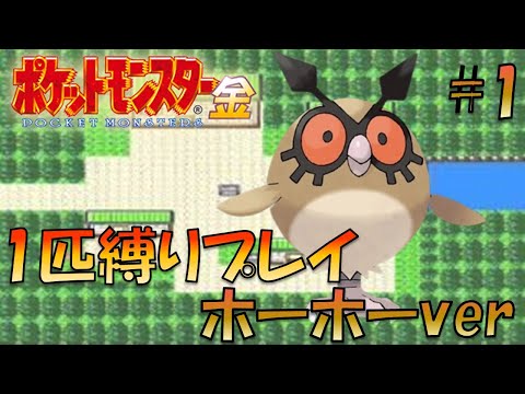 【ポケモン金銀】ポケモン1匹縛りプレイ!!ホーホーきみに決めた!part1【ゲーム実況】【縛りプレイ】