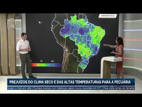 Vídeo: O mês mais quente da Antártida. Temperatura mensal na Antártida