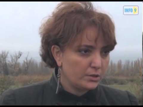 თინა ხიდაშელი