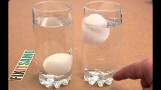 Are You Eating Fresh Eggs ? Kitchen Hack Are You Eating Fresh Eggs ? Kitchen Hack