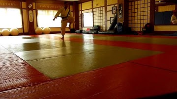 Shotokan Karate Grading Syllabus White Belt to 9th Kyu