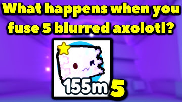 What happens when you fuse 5 blurred axolotl? (Roblox Pet Simulator X - TRADE PLAZA)