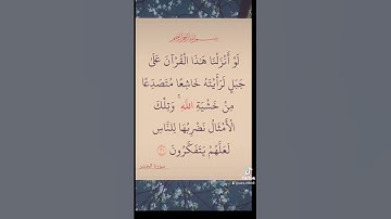 سورة الحشر ❤️