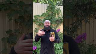 Эта жизнь временно надо совершать намаз и читать Коран