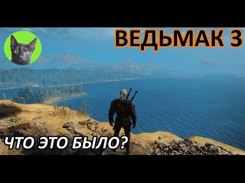 Ведьмак 3 - Достижения - Скрытое достижение "Что это было?"