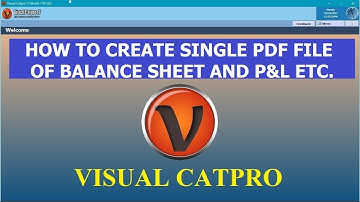 HOW TO CREATE SINGLE PDF FILE OF BALANCE SHEET AND P&L ETC IN CATPRO