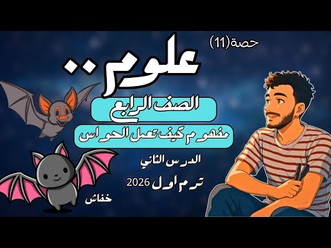 الدرس الثاني علوم الصف الرابع الابتدائي مفهوم كيف تعمل الحواس رابعة ابتدائي مستر محمد ابراهيم 2026