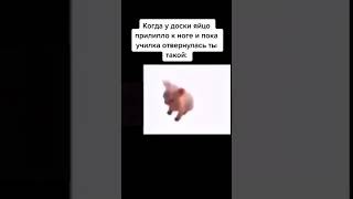 Когда яйцо прилипло к ноге