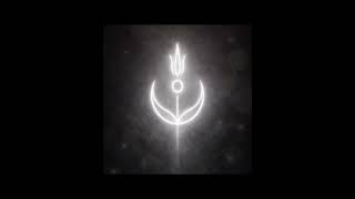 Stillness Sessions: Forest Static