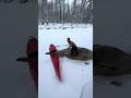 Гребля отменяется, я провалился!