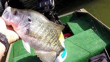 How To Make Inactive Crappie Bite