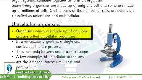 NSS Grade 04 Science Chapter 01