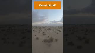 UAE Desert Tour #Shorts