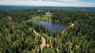 Northern California | Apple Hill Woods, El Dorado Hills California Northern California | Apple Hill Woods, El Dorado Hills California