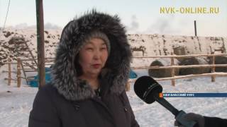 Как в районе поддерживают фермерские хозяйства. Повлияет ли на них «Дальневосточный гектар»