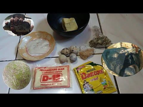 UMPAN JITU DARI SUKUN HASILNYA JOSS GORONDOS || MANCING IKAN MAS