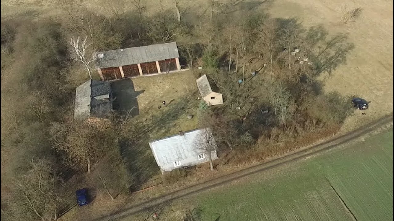 #24 Pierwszy oblot pszczół w 2019 - 17.02.2019