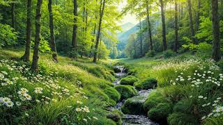 Kuş cıvıltıları ve kara kuş cıvıltılarıyla rahatlatıcı, yumuşak dere sesleri screenshot 5