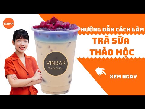 Hướng Dẫn Cách Làm Công Thức Pha Chế Trà Sữa Thảo Mộc | Vinbar