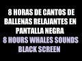 8 horas canto de ballenas música para dormir relajante pantalla negra / 8 whales sounds black screen